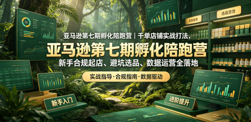 亚马逊孵化陪跑营｜千单店铺实战打法，新手合规起店、避坑选品、数据运营全落地(更新0708)-零创仓