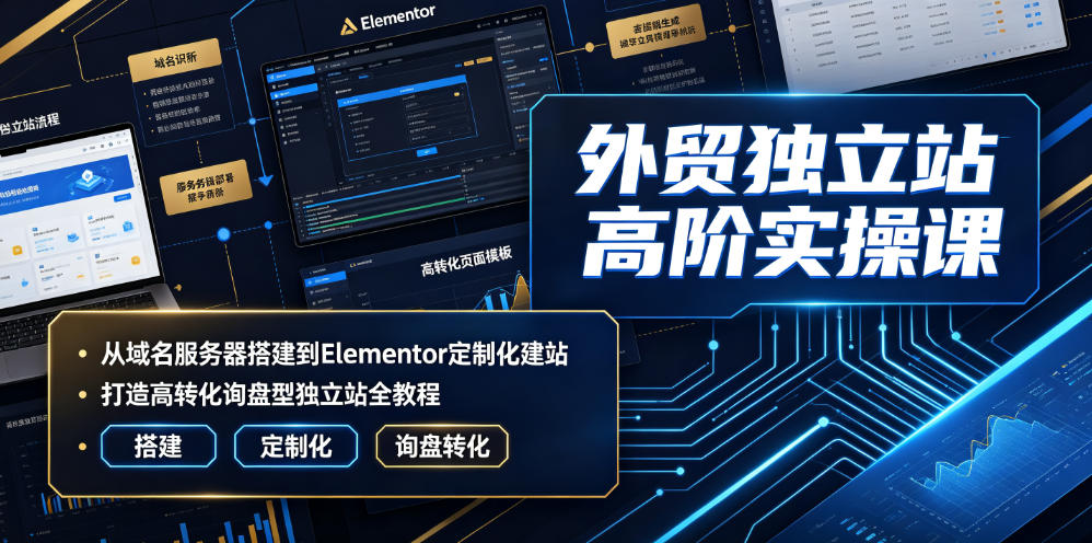 外贸独立站高阶实操课｜从域名服务器搭建到Elementor定制化建站，打造高转化询盘型独立站全教程-零创仓