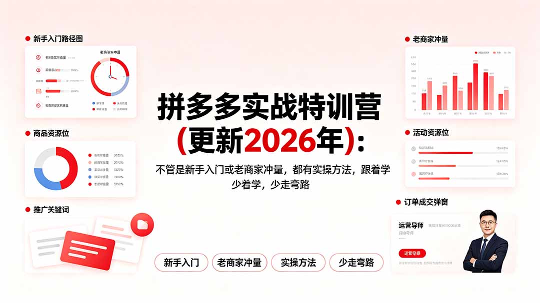 拼多多实战特训营(更新2026年-零创仓