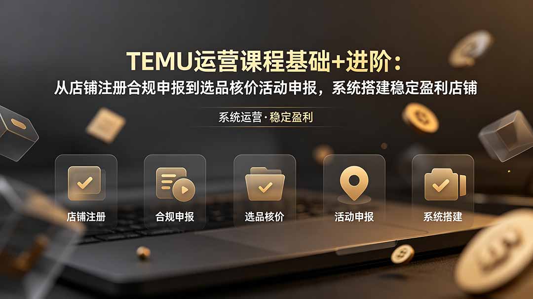 TEMU运营课程(基础+进阶-零创仓