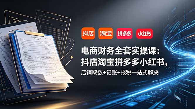 电商财务全套实操课:抖店淘宝拼多多小红书,店铺取数+记账+报税一站式解决-零创仓