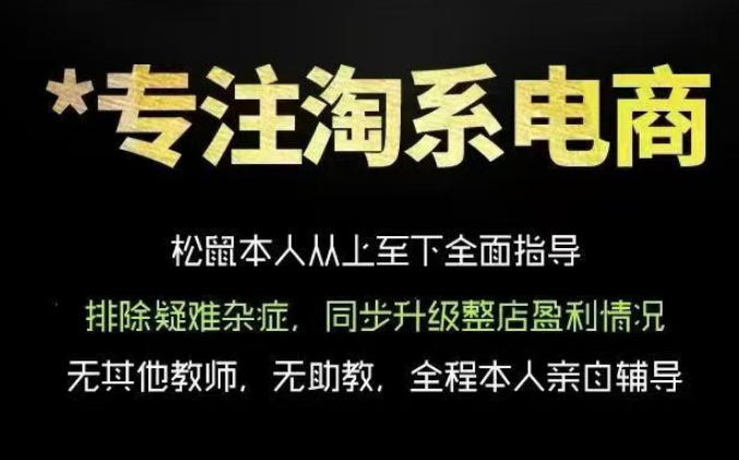 松鼠会电商VIP课程,从基础布局到高阶优化,助你掌握淘宝运营逻辑,提升店铺流量与转化-零创仓