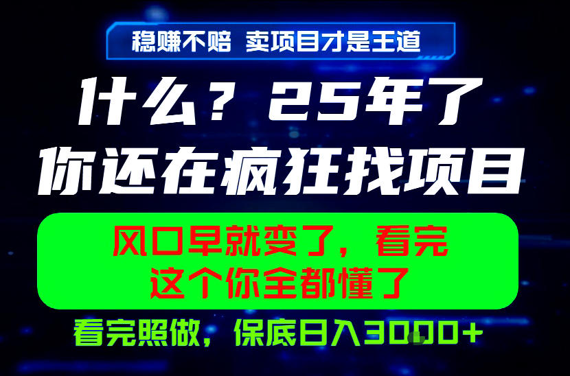 26年,请不要疯狂的找项目做了!卖项目才是真的稳賺不赔,看完照做,保底日入1k+【揭秘】-零创仓