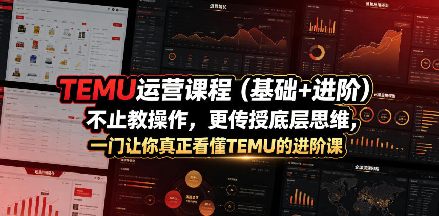 TEMU运营课程(基础+进阶)，不止教操作，更传授底层思维，一门让你真正看懂TEMU的进阶课-零创仓